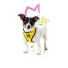 Arnes para perros de bananas en color amarillo y negro, transpirable y flexible, lo mejor para tu perro