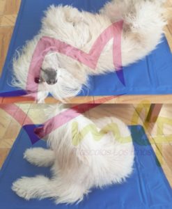 Colchoneta de pvc para perros pequeños y medianos, enfría al momento, funciona por contacto.