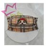 Mascarillas Dogs ajustables, ligeras, cómodas y muy bonitas. Las mascarillas son de algodón con goma fina y suave con margen para que te la puedas adaptar a tu medida. Está forrada en raso para que sea fresquita y no sea pesada, con una apertura para introducir el filtro. Llevan 5 filtros de polipropileno tnt de regalo. Se pueden lavar en lavadora.