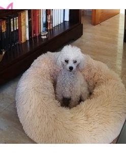 Cama Peluche quiere ayudarte a tu mascota duerma como un bebé. Esta cama tiene un tejido especial para que tu mascota esté cómoda y pueda relajarse agusto. Se convertirá en su rincón favorito. Y es que su tejido de felpa mullido ha sido especialmente diseñado para reducir el estrés en perros y gatos. Si te preocupa que tu perro tenga ansiedad cuando no estás en casa, esta cama le ayudará a reducirla y a calmarle. Además estará siempre calentito cuando se acurruque en su original cama. Disponible en tres tamaños y varios colores: Pequeña -- 40 cm de diametro Mediana --- 50 cm de diametro Grande -- 60 cm de diametro