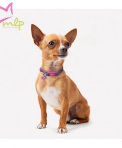 Collar Supergirl para mascotas, tienes la CORREA a juego Somos fans de los accesorios para nuestros amigos peludos de nuestros personajes, series y películas favoritas. Estos collares destacan por su divertido diseño, la calidad de sus materiales y lo acertado de su packaging, lo que los convierte además en regalos excepcionales e inesperados. Es ajustable y está realizado en polyester muy resistente con doble capa de nylon y serigrafía posterior. Y lo mejor de todo es su diseño, con el logo de Supergirl en colores rosa y negro, que destacan un montón sobre la tela vaquera. Viene con el logo en la hebilla y un divertido colgante por si le quieres grabar su nombre. Es un producto fabricado bajo licencia oficial de DC Comics y será el regalo perfecto para los aficionados de Superman y Supergirl con mascotas originales. Ademas del collar Supergirl tienes la correa, arnés y gorra para ti a juego! Tienes cuatro tallas disponibles que podrás seleccionar fácilmente midiendo el cuello de tu peludo. XS — de 18 a 30 cm — 1,5 cm de ancho S — de 22 a 35 cm — 1,5 cm de ancho M — de 30 a 45 cm — 2 cm de ancho L — de 35 a 55 cm — 2 cm de ancho Cualquier duda o consulta no dudes en escribirnos o llamarnos ?   665465080